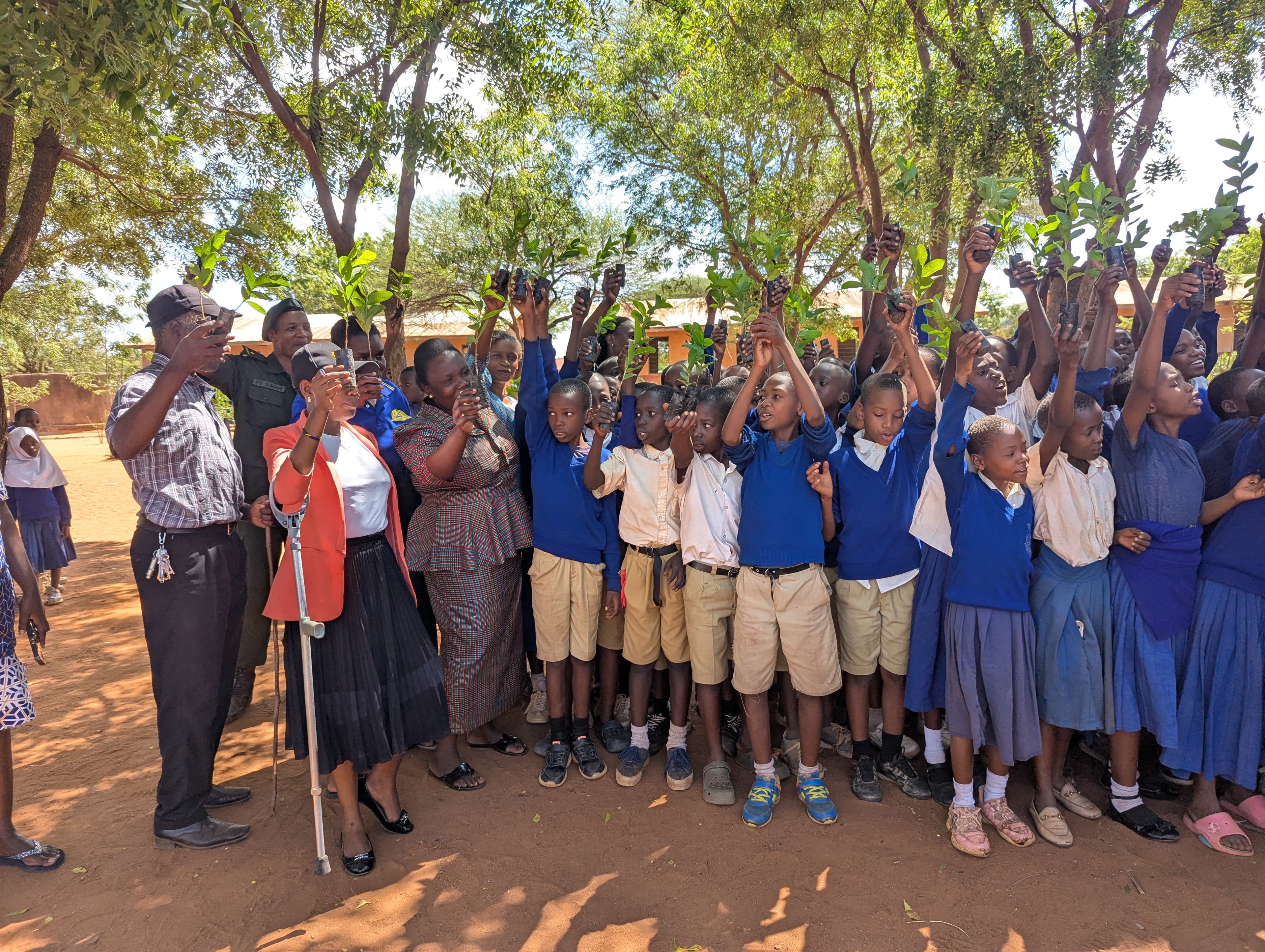 School Environmental Education