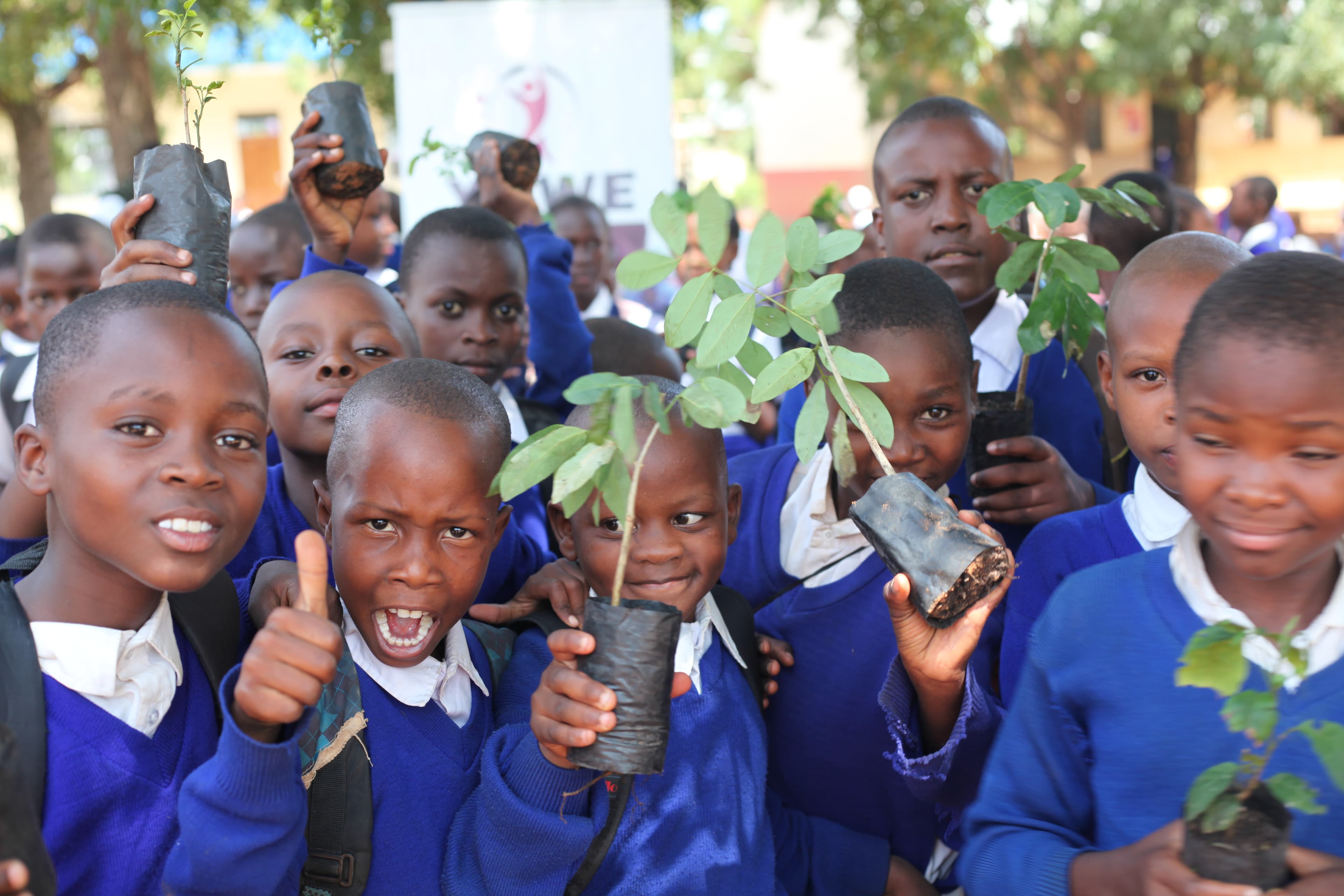 Tree Planting Activity